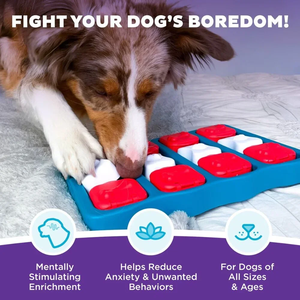 Nina Ottosson by Outward Hound Brick Puzzle Game Dog Toy, Blue & Red